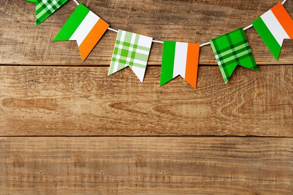 ¿Qué hacer si mi gato vomita con regularidad?